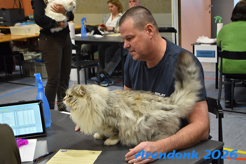BCF kattenshow