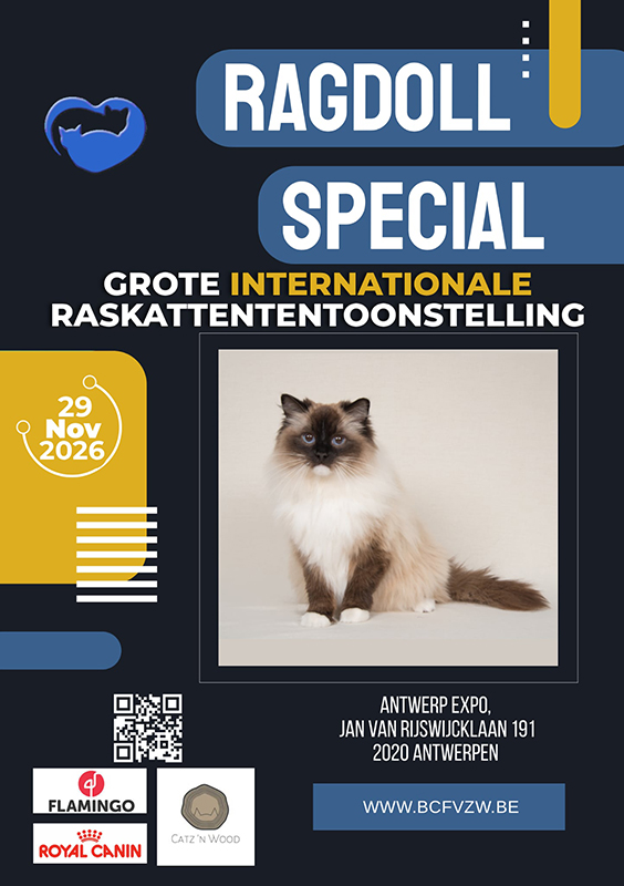 kittentekoop