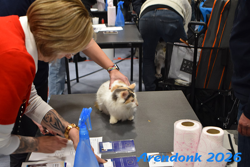BCF kattenshow