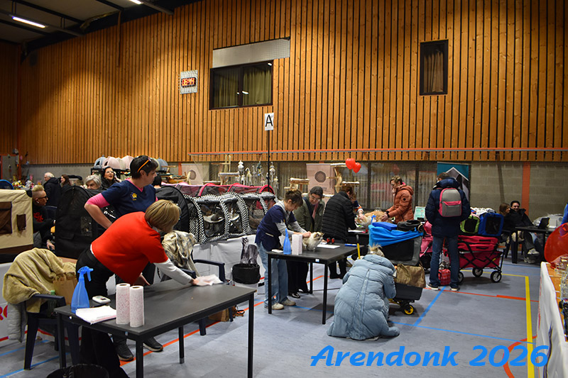 BCF kattenshow