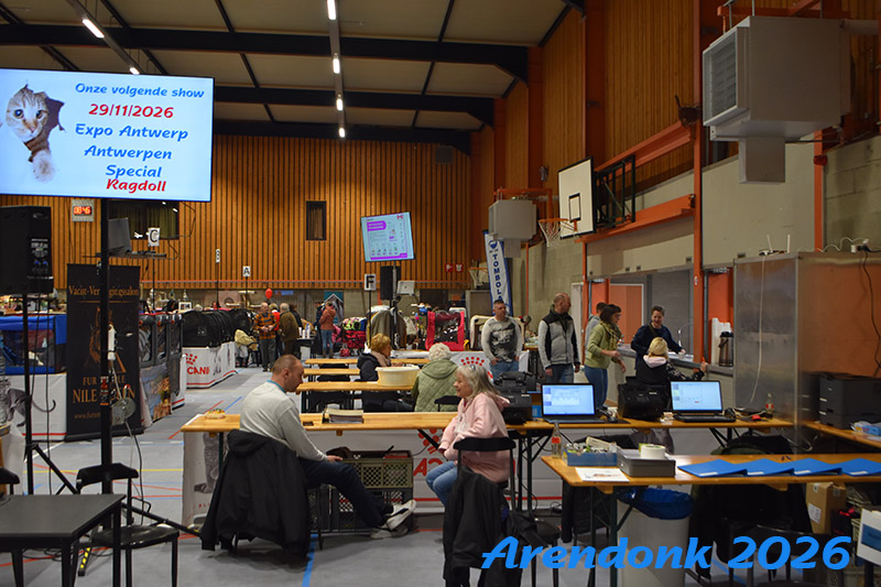 BCF kattenshow
