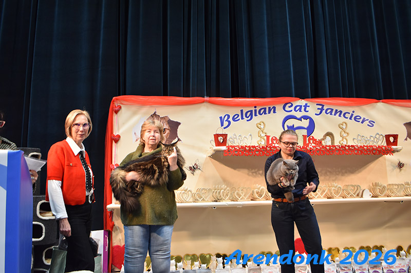 BCF kattenshow