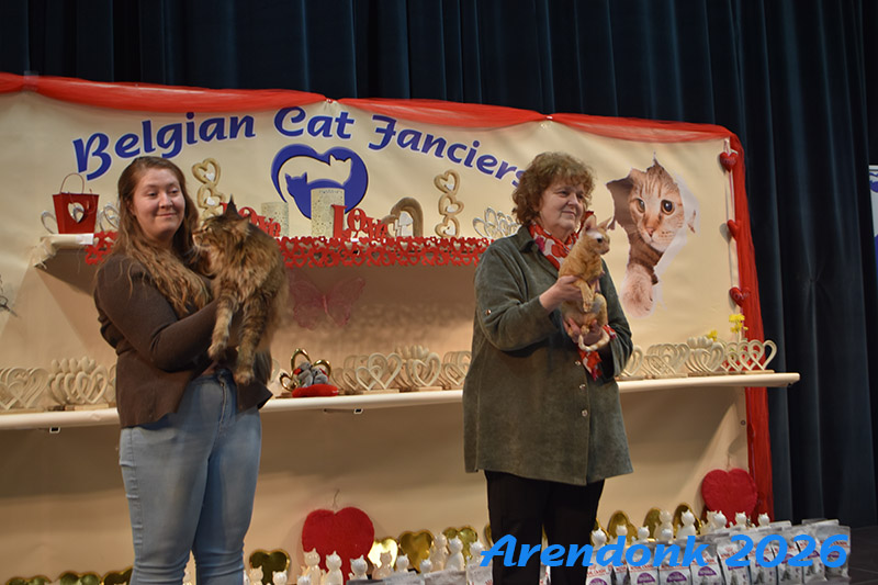 BCF kattenshow