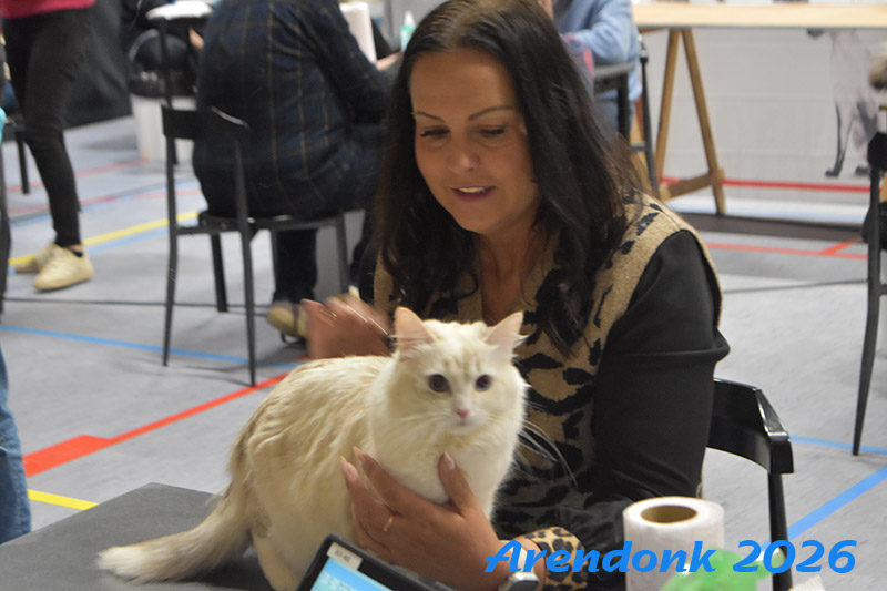 BCF kattenshow