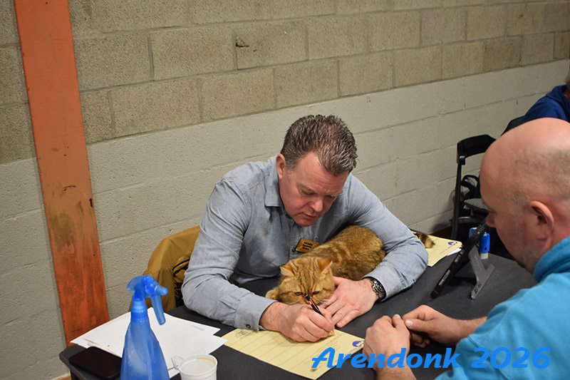 BCF kattenshow