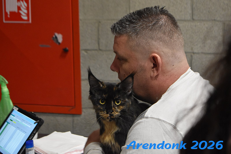 BCF kattenshow