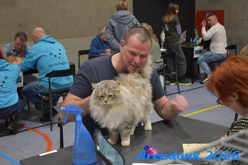 BCF kattenshow