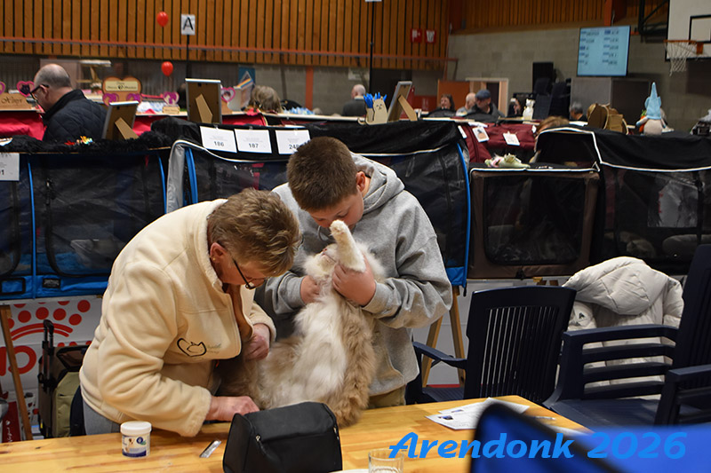 BCF kattenshow
