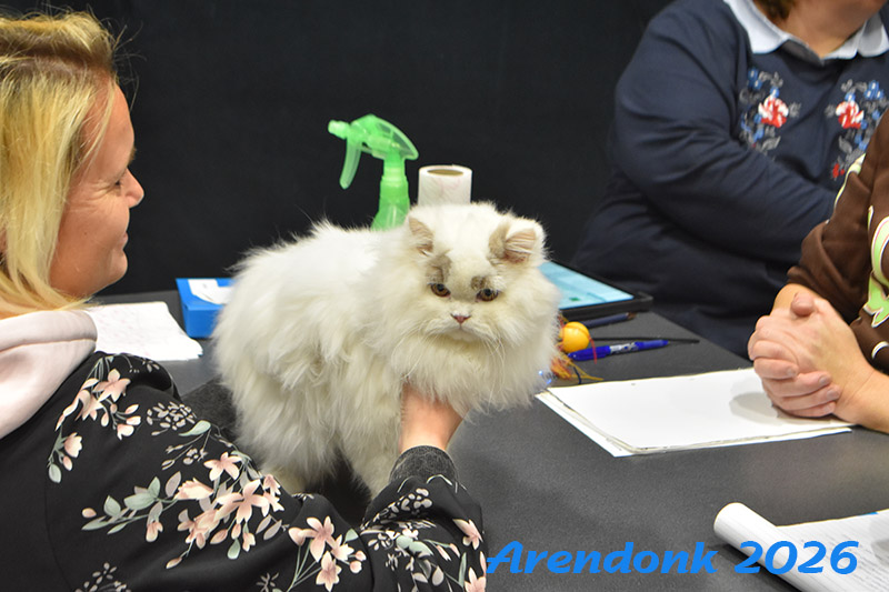 BCF kattenshow
