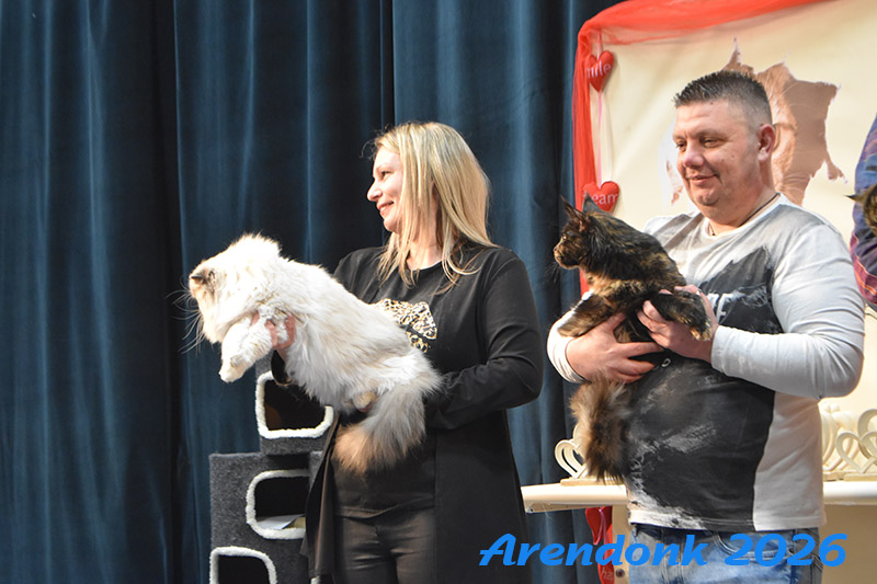 BCF kattenshow