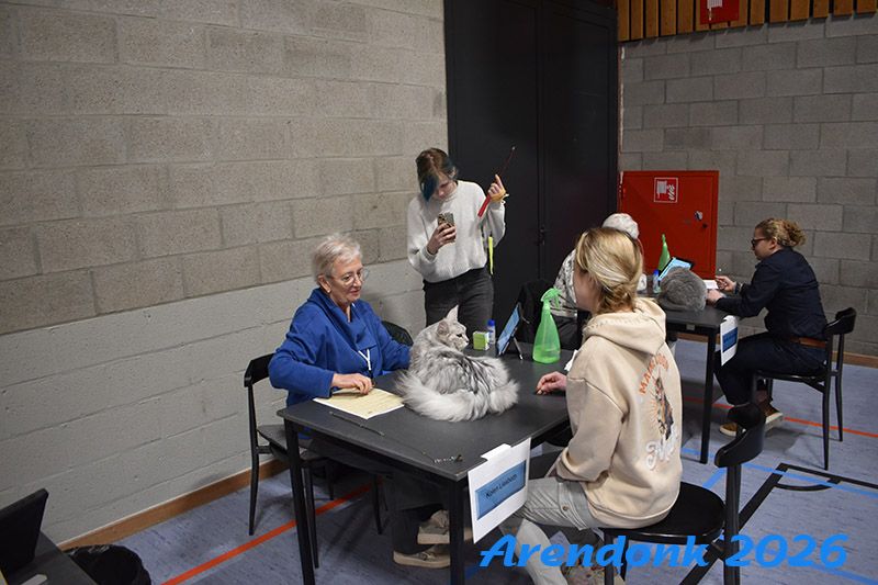 BCF kattenshow