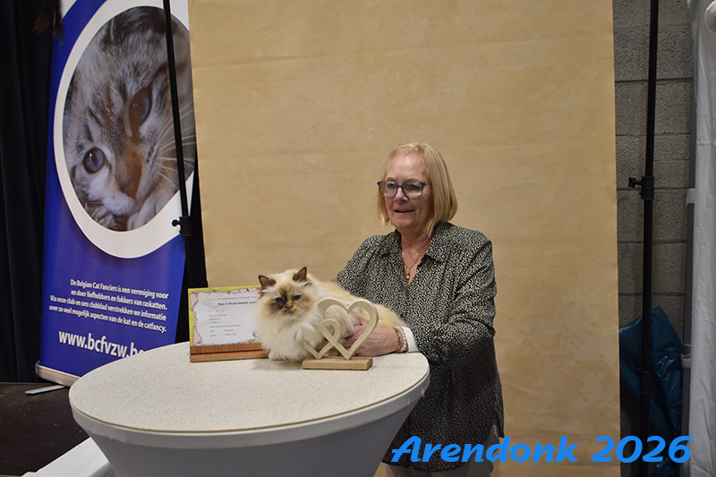 BCF kattenshow