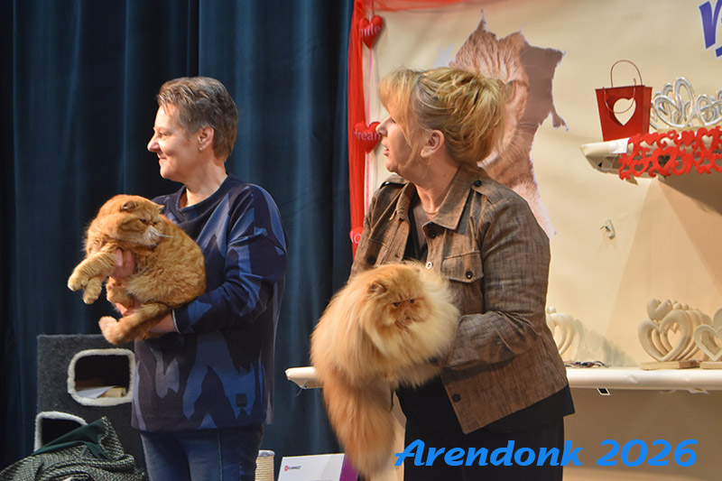 BCF kattenshow
