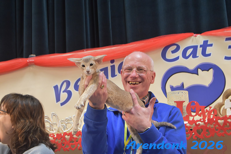 BCF kattenshow