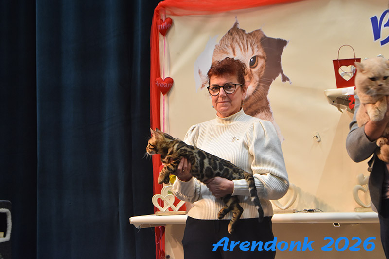BCF kattenshow