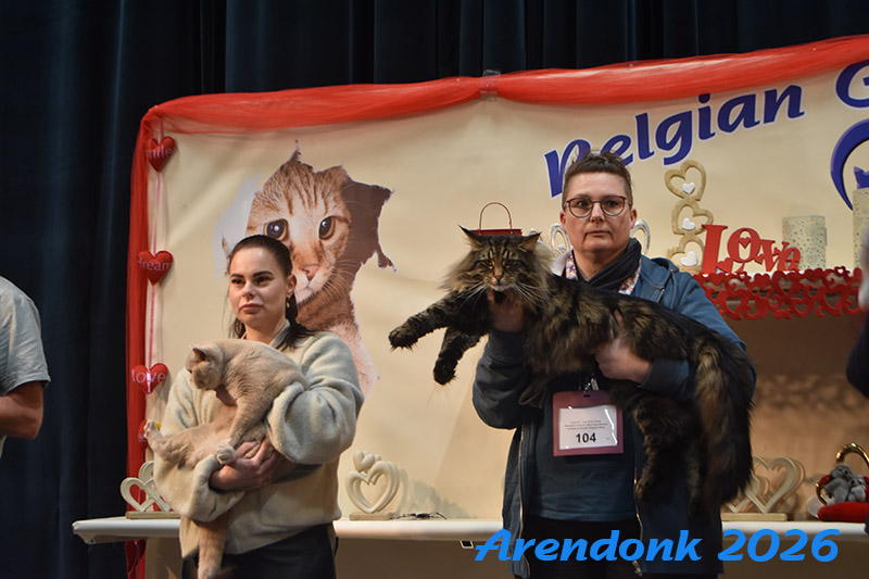 BCF kattenshow