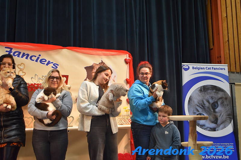 BCF kattenshow