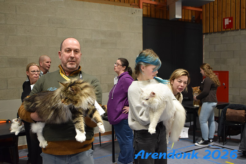 BCF kattenshow