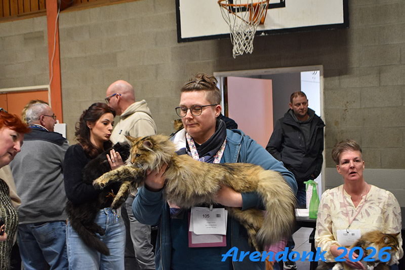 BCF kattenshow