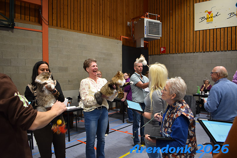 BCF kattenshow