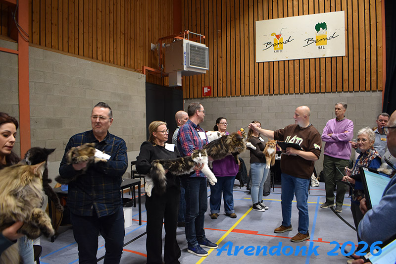 BCF kattenshow