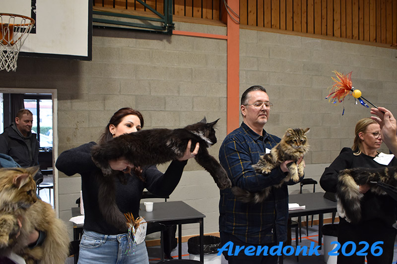 BCF kattenshow