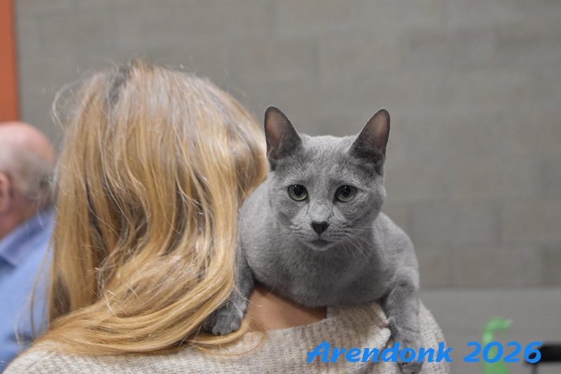 BCF kattenshow