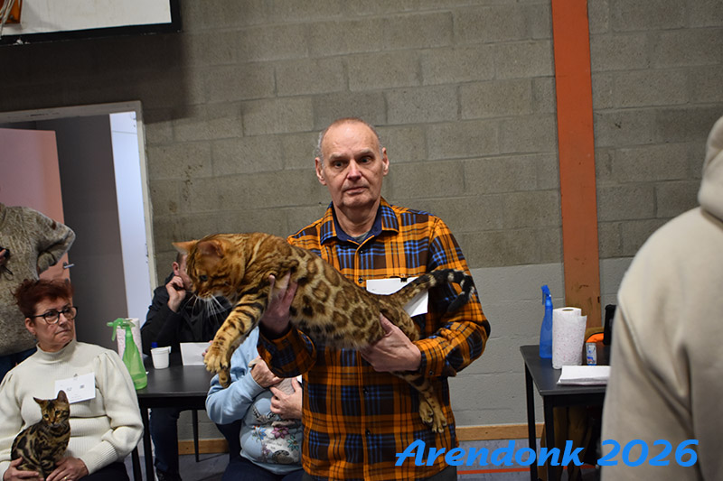 BCF kattenshow