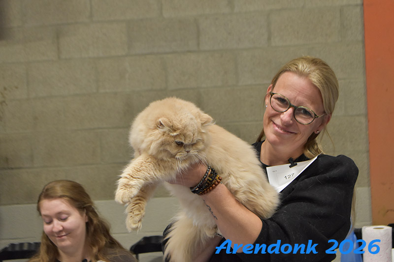 BCF kattenshow