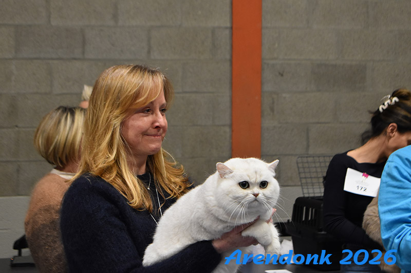 BCF kattenshow