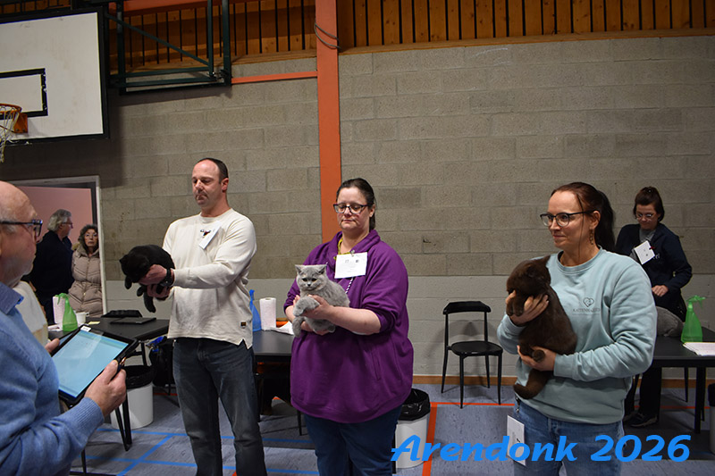 BCF kattenshow
