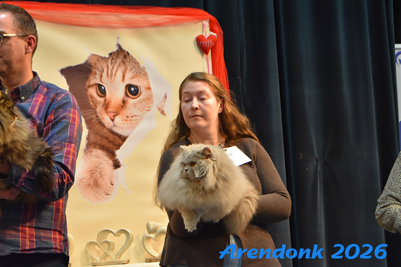 BCF kattenshow