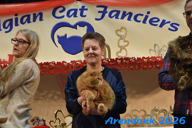BCF kattenshow