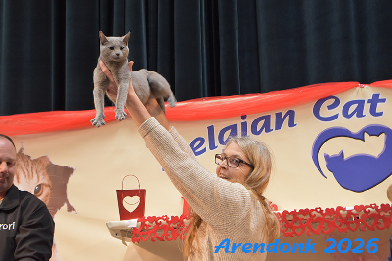 BCF kattenshow