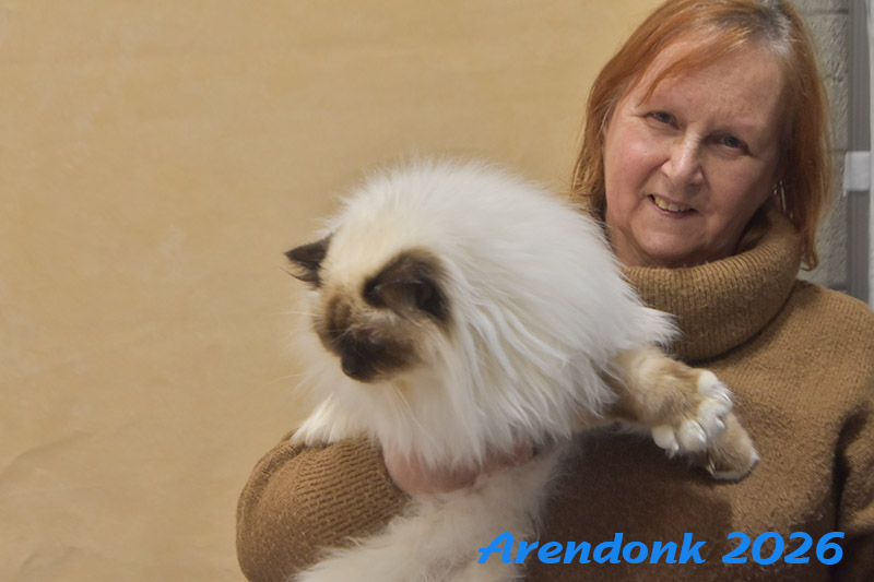 Katten vereniging Belgium Cat Fancierss BCF