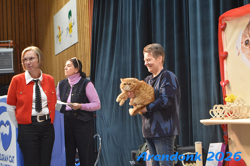 Katten vereniging Belgium Cat Fancierss BCF