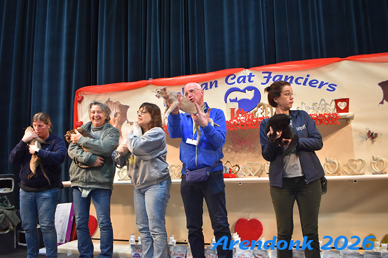 Willekeurige foto van kattenshow van BCF katten vereniging.