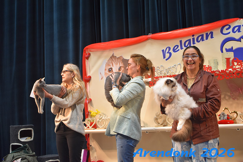 Katten vereniging Belgium Cat Fancierss BCF