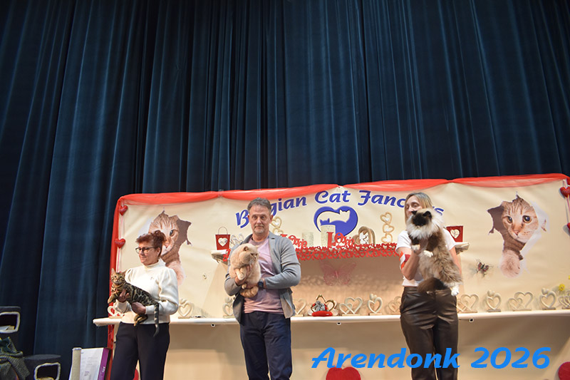 Willekeurige foto van kattenshow van BCF katten vereniging.