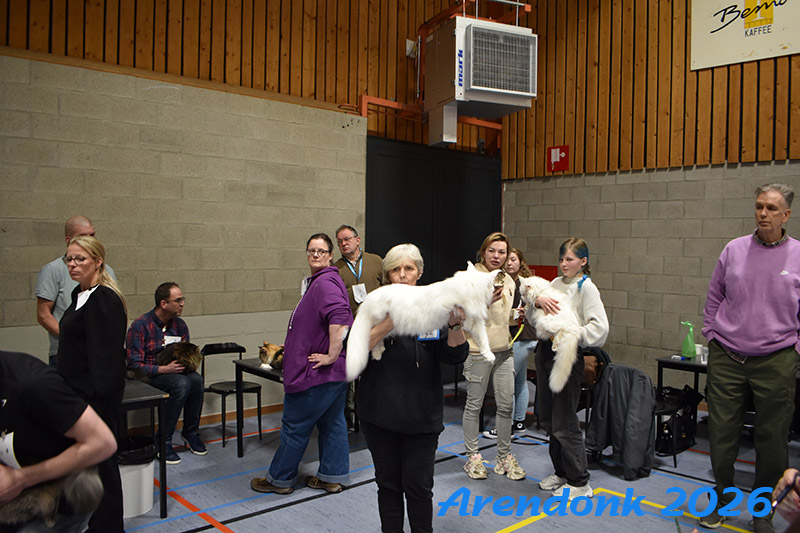 Mooie foto van onze kattenshow, BCF katten vereniging.