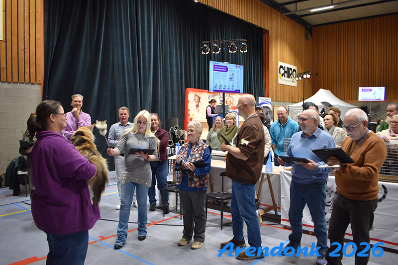 Willekeurige foto van kattenshow van BCF katten vereniging.