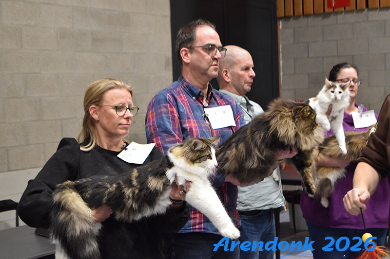Willekeurige foto van kattenshow van BCF katten vereniging.