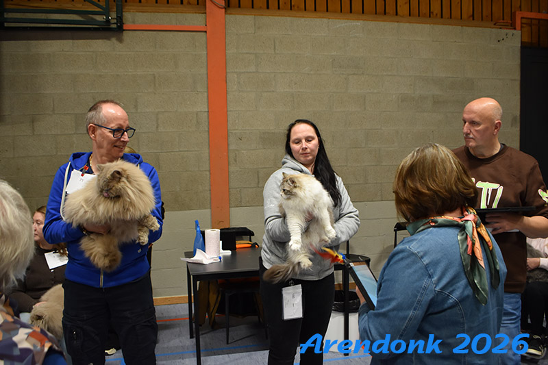 Katten vereniging Belgium Cat Fancierss BCF