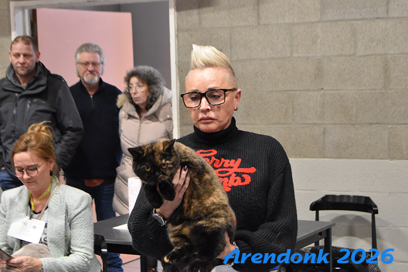 Mooie foto van onze kattenshow, BCF katten vereniging.