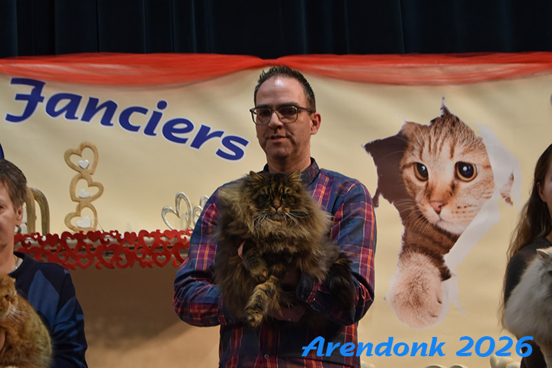 Katten vereniging Belgium Cat Fancierss BCF