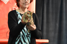 Katttenshow Arendonk 2020 DSC 0745