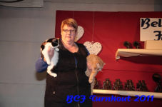 bcf antw 2010 208