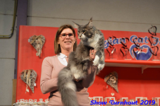turnhout 2019-0399
