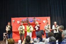 Katttenshow Arendonk 2020 DSC 0714