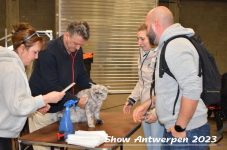 Schow Antwerpen 2023 043